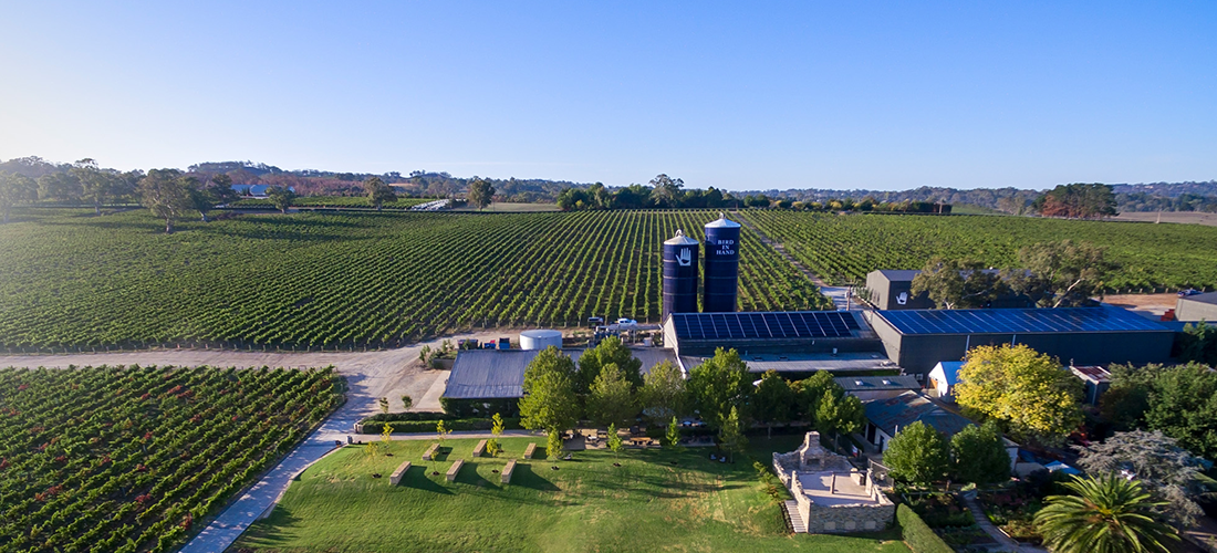 Bird in Hand vineyard bird's eye view